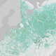 Illustration for article titled Central European Forests Are Regrowing After the Breakup of the USSR